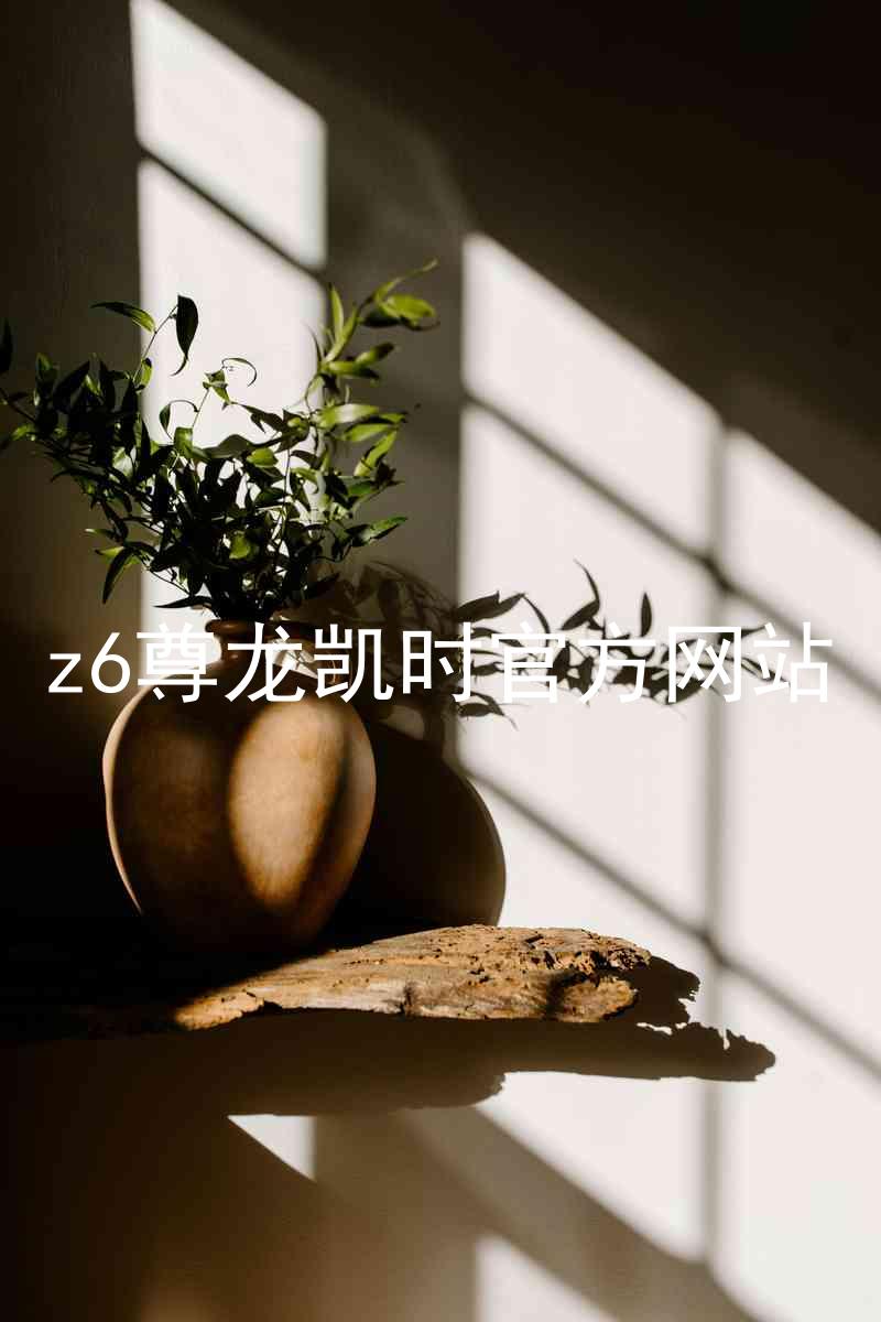 z6尊龙凯时官方网站