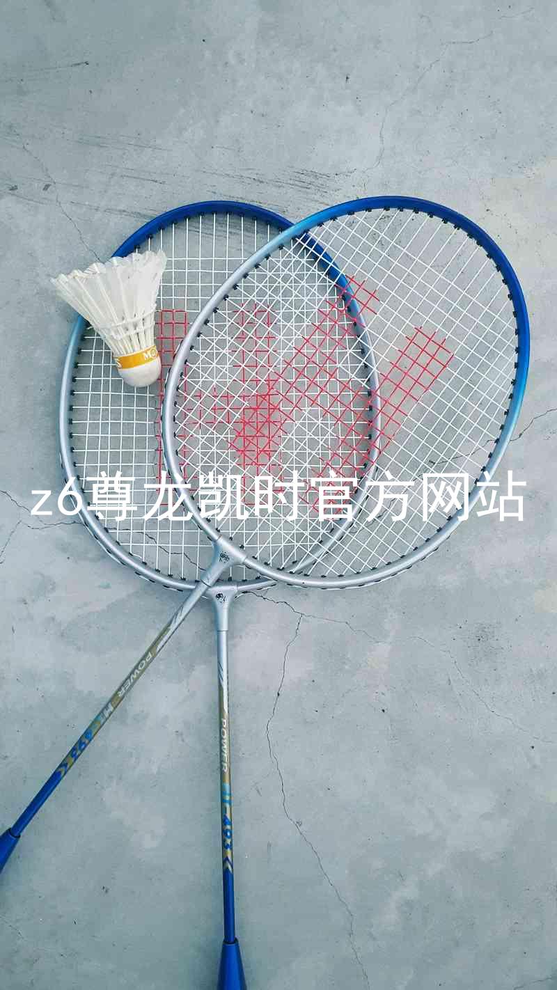 z6尊龙凯时官方网站