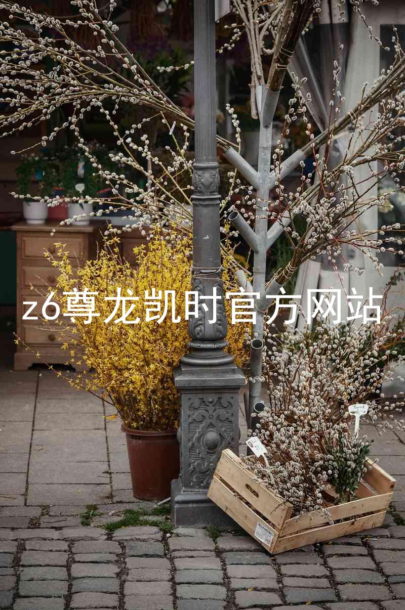 z6尊龙凯时官方网站