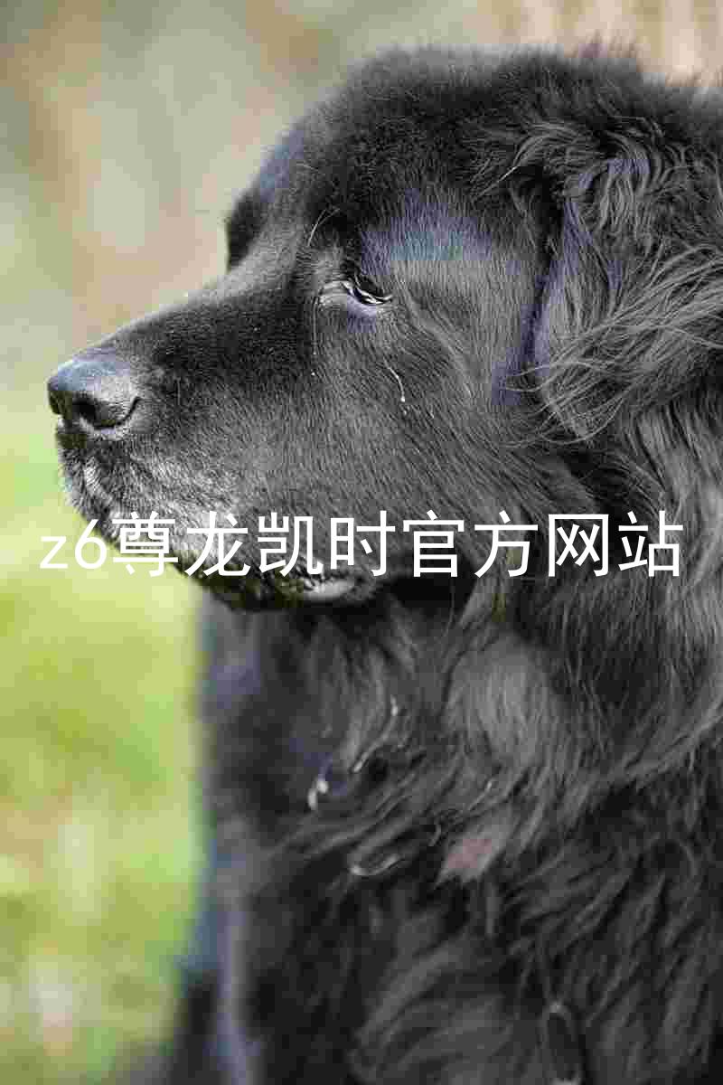 z6尊龙凯时官方网站